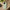 Impact-Resistant Phone Case -St. Patrick's Day Plaid
