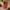 Impact-Resistant Phone Case - Lipstick Red