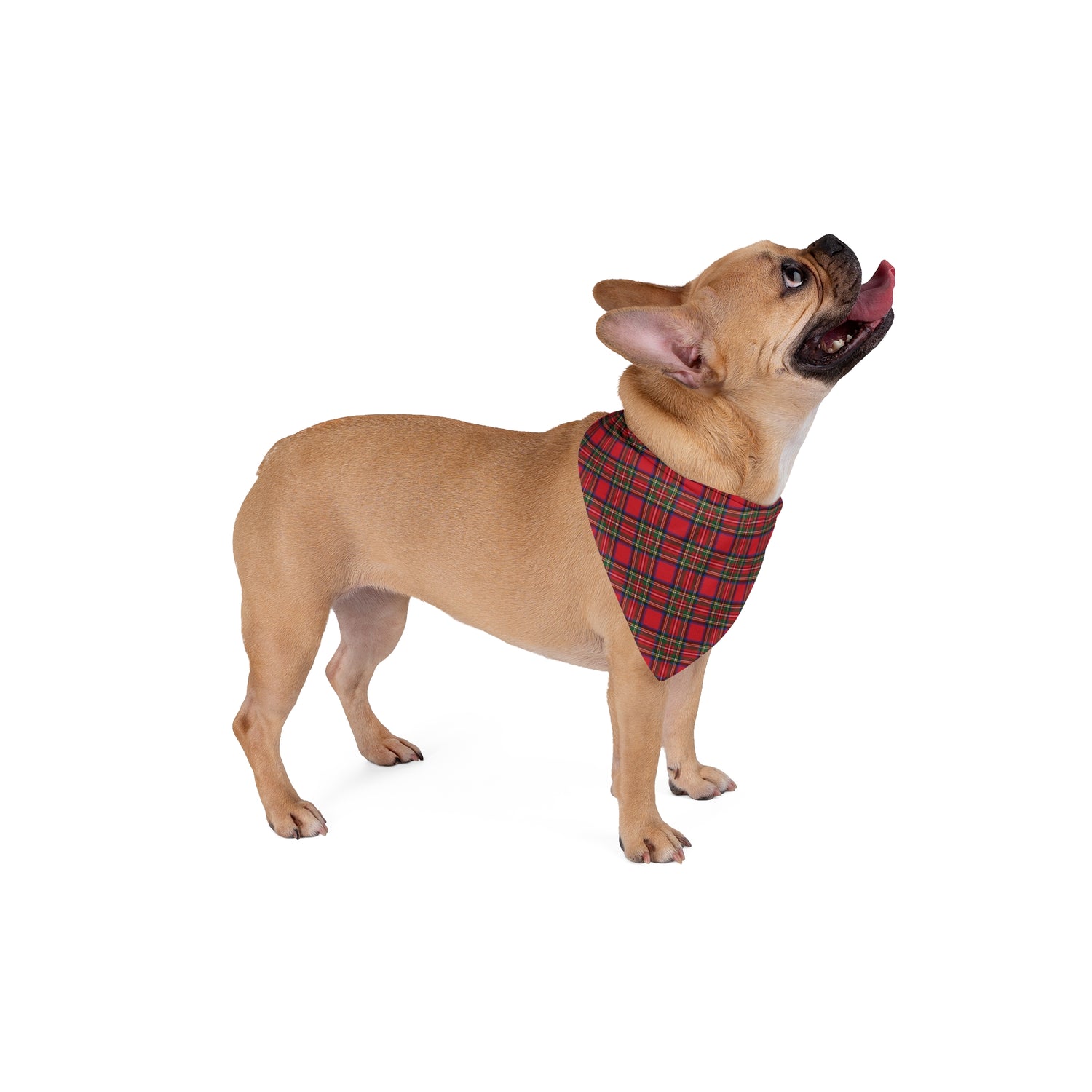 Plaid Pet Bandana