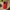Impact-Resistant Phone Case - Lipstick Red