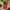 Impact-Resistant Phone Case - Lipstick Red