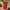 Impact-Resistant Phone Case - Lipstick Red