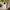 Impact-Resistant Phone Case- Tennis Match