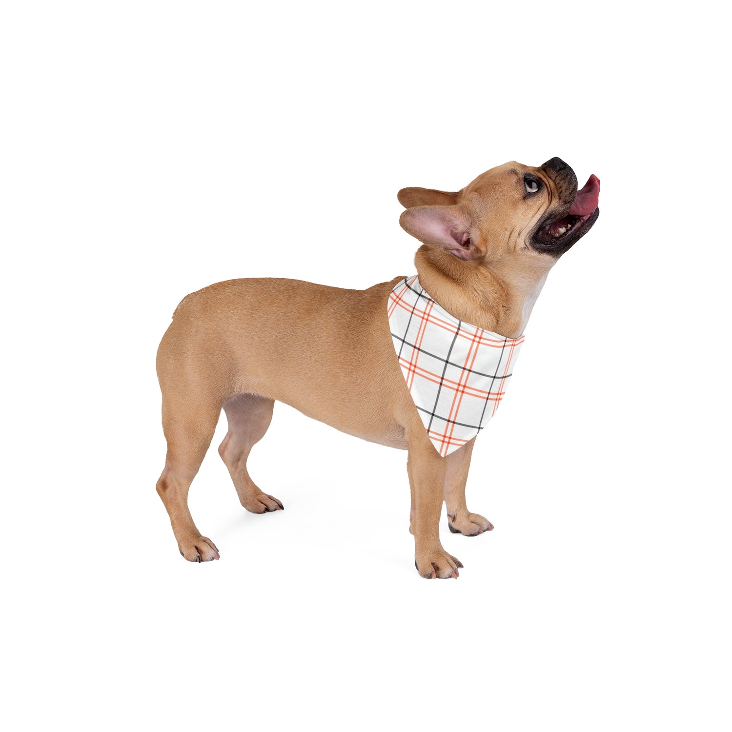 Stylish  Fall Plaid Pet Bandana