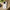 Impact-Resistant Cases- Easter Watercolor Eggs