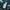 Elegant Pumpkin Impact-Resistant Phone Case, iPhone, Samsung